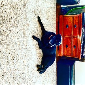 Meet your Posher, Grace